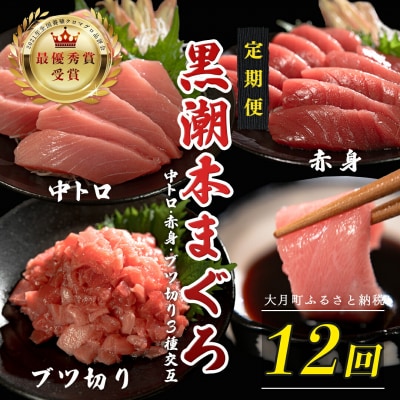 訳あり 不定貫 国産 黒潮本まぐろ 中トロ・赤身・ブツ切り 定期便 120~300g×12回