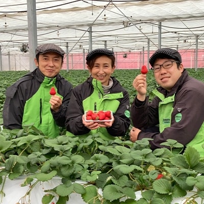 いちご詰め合わせ「4パック」「日本農業賞」大賞受賞の農園が生産