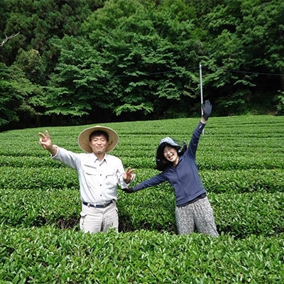 「横瀬の和紅茶」と「森のはちみつのマドレーヌ」セット