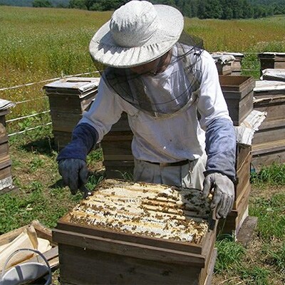 はちみつ2本セット「そばの花 蜂蜜」「百花」