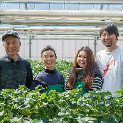 【無添加・手作り】ジェラート10個セット(秩父の果物・野菜を使用)