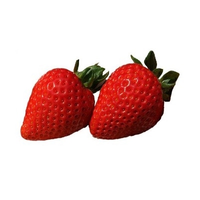【数量限定】紅白いちご2パック「あまりん(赤)」250g×1パックと「淡雪(白)250g×1パック」