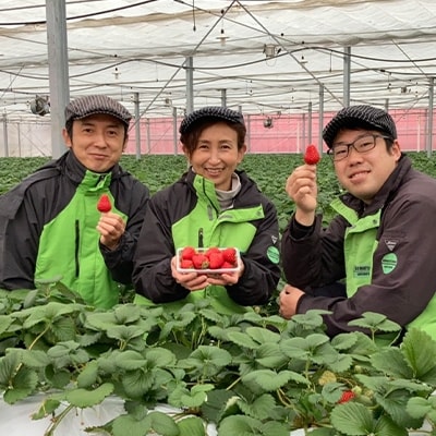 いちご「あまりん」1ホール(12～15粒)埼玉県産ブランド「日本農業賞」大賞受賞の農園が生産