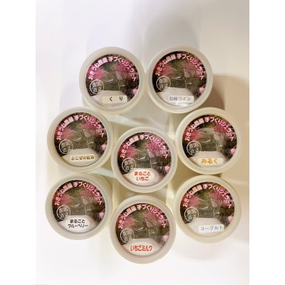 【無添加・手作り】ジェラート8個セット(秩父の果物・野菜を使用)