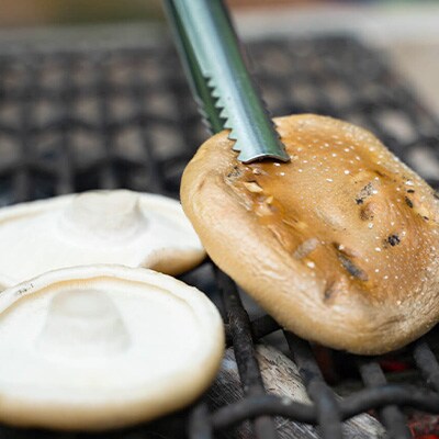 原木しいたけ詰め合わせセット(1.3kg)〜「日本農業賞」大賞受賞の農園〜