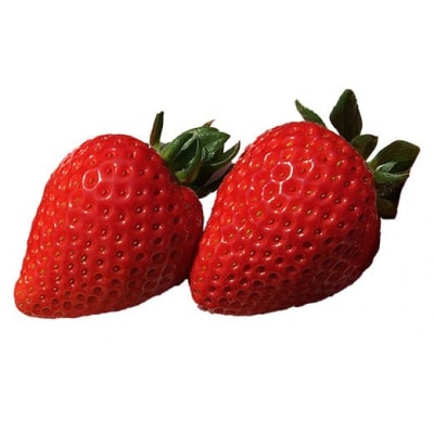 【数量限定】埼玉県産ブランドいちご「あまりん」250g×2パック 