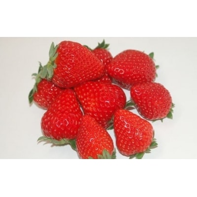 いちご「やよい姫」300g×2パック