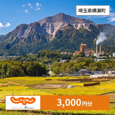 【じゃらんふるさと納税クーポン】 埼玉県横瀬町でつかえる3,000円 クーポン