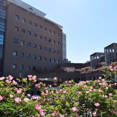 大阪府松原市