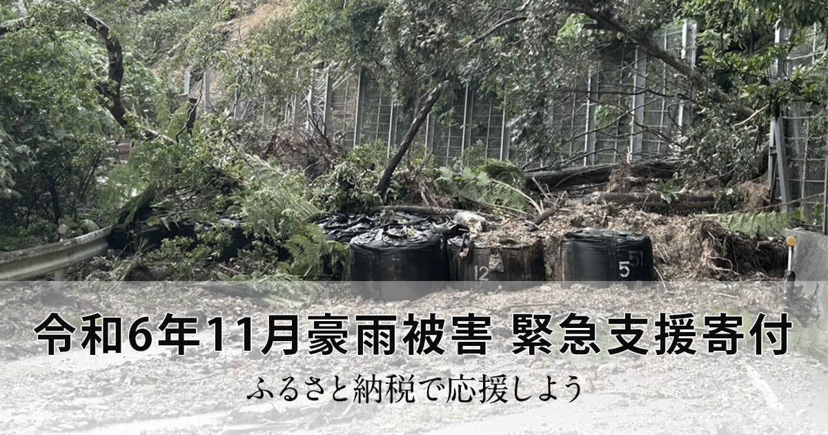 令和6年11月豪雨被害 緊急支援寄付 | ふるさと納税サイト「さとふる」