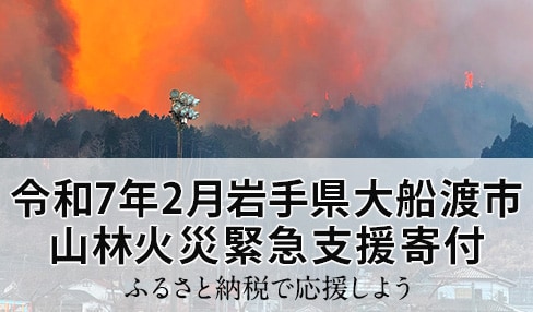 令和7年2月岩手県大船渡市 山林火災緊急支援寄付