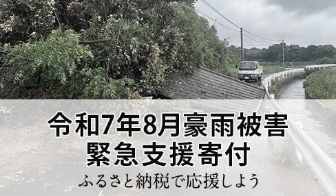 令和7年8月豪雨被害 緊急支援寄付