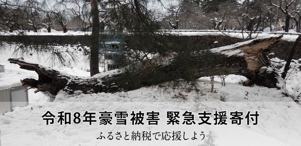 令和8年豪雪被害 緊急支援寄付　イメージ