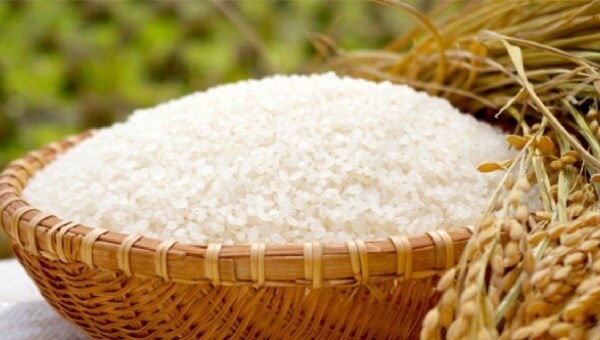 貧困家庭を救う「こども宅食」と日本の「米作り」を同時に応援しよう
