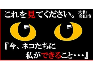 猫と人とが地域で共生できるハートフルなまちのた…