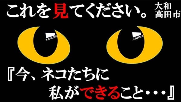 猫と人とが地域で共生できるハートフルなまちのために～猫と私たちができること～