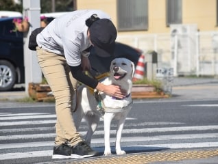 コロナ禍でも歩みを止めない盲導犬育成のためにフ…