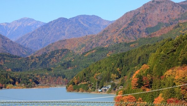 南アルプスの麓「井川」を支援しよう! 民俗文化の継承・桜の参道づくり