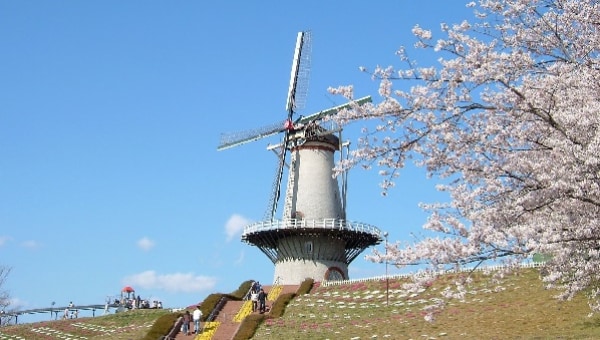 令和4年3月福島県沖地震からの復興に向け、「オランダ風車」の早期復旧を図りたい!
