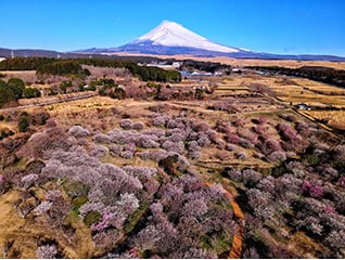 富士山の写真を掲載したカレンダー制作プロジェク…