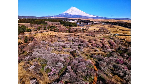 富士山の写真を掲載したカレンダー制作プロジェクト