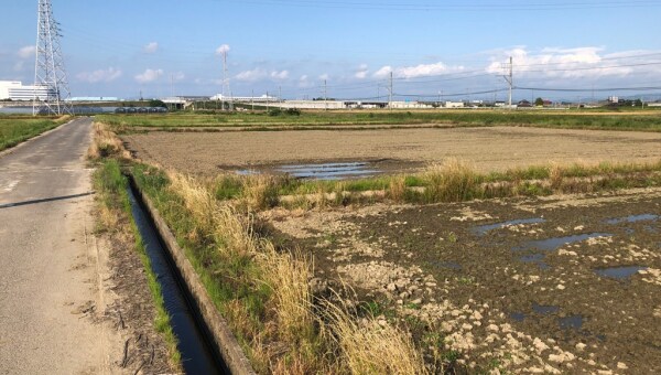 明治用水頭首工の大規模漏水があっても頑張っている農業者を応援したい!