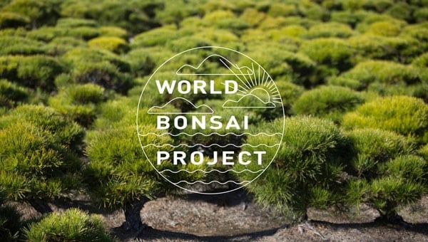 世界盆栽プロジェクト~高松が切り拓く世界のBONSAI~