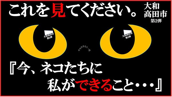 猫と人とが地域で共生できるハートフルなまちのために～猫と私たちができること～第2弾