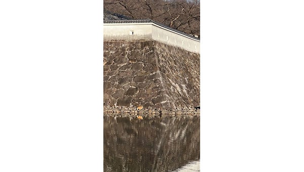 持続可能な文化財保存・活用の基盤整備プロジェクト