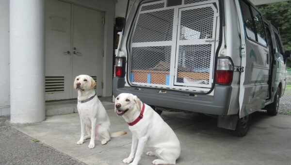 盲導犬の訓練用車両入れ替えにご支援をお願いします!