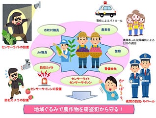 防犯体制を強化し、農作物の盗難被害を食い止めた…