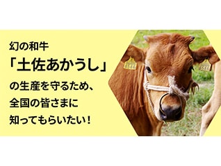 幻の和牛「土佐あかうし」の生産を守るため、全国…