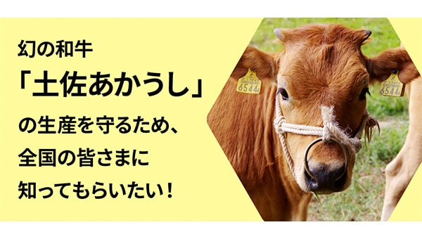 幻の和牛「土佐あかうし」の生産を守るため、全国の皆さまに知ってもらいたい!