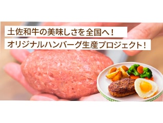 土佐和牛の美味しさを全国へ!オリジナルハンバー…