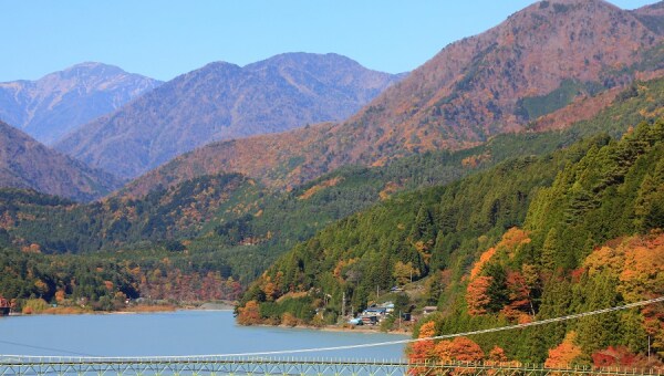 南アルプスの麓「井川」を支援しよう! 民俗文化の継承・桜の参道づくり