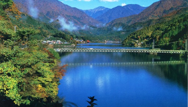 南アルプスの麓「井川」を支援しよう! 民俗文化の継承・桜の参道づくり