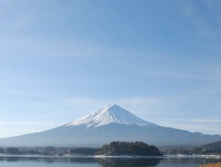 富士山の独自で豊かな自然を次世代へ～外来植物か…
