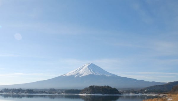 富士山の独自で豊かな自然を次世代へ~外来植物から富士山を守りたい!~