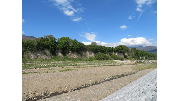 十三崖にふたたび舞い戻れ!チョウゲンボウの里整備プロジェクト