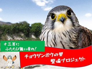 十三崖にふたたび舞い戻れ!チョウゲンボウの里整…
