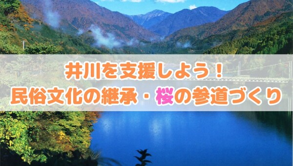 南アルプスの麓「井川」を支援しよう! 民俗文化の継承・桜の参道づくり