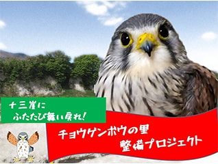 十三崖にふたたび舞い戻れ!チョウゲンボウの里整…