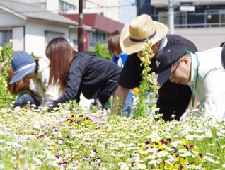 花いっぱいで笑顔もいっぱい!かつしか花いっぱい…