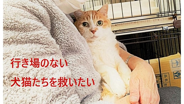 残される犬猫たちを救いたい!高齢者とペットの安心プロジェクト