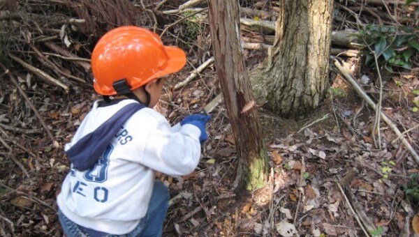 森林を知ってほしい!山仕事山遊び体験プロジェクト