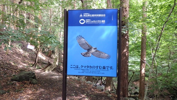 日本百名山「両神山」を安心・安全ネイチャーポジティブを進める山にしたい。