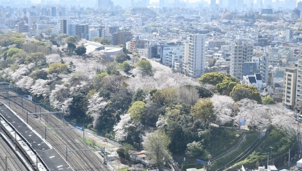 新一万円札の顔、渋沢翁が30年間暮らした北区飛鳥山~旧渋沢庭園改修プロジェクト~