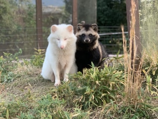 飯田市立動物園70周年　どうぶつも人も心地よくプ…