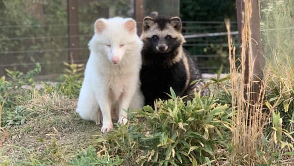 飯田市立動物園70周年　どうぶつも人も心地よくプロジェクト