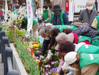 新たな緑花イベントで、葛飾にいっぱいの花を咲か…